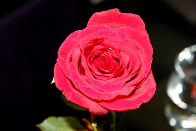 Valentine Night @ E Cafe